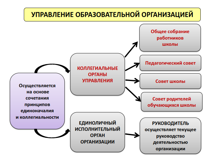 Организационно управленческие школы. Принципы менеджмента в образовании. Формы управления организацией. Коллегиальные органы управления в школе. Принципы организации менеджмента.